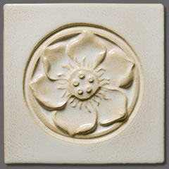 Taj White